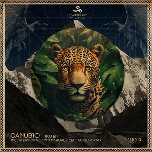 Cardon (Original mix)