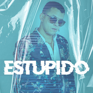 Estupido