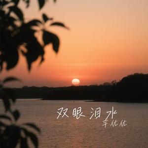 双眼泪水 (Cover 洋澜一)