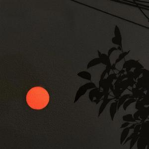 狂恋你（cover沈以诚）