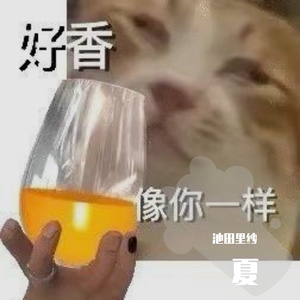 属于我们的夏