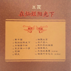 在灿烂阳光下