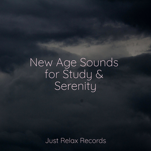 Silent Sanctuary's Melody