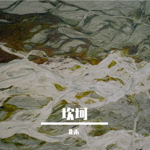 风雨下野草的温暖之光