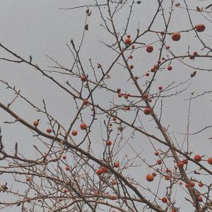 诸恶莫作，众善奉行