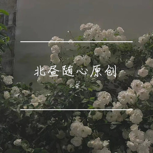 Travel Endless Dreams（遨游无尽之梦）纯钢琴版