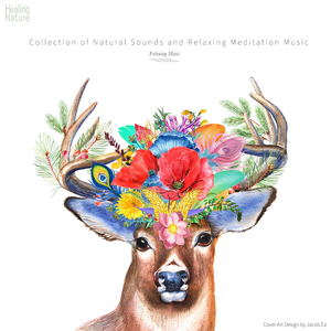 스트레스를 해소하는 비와 음악