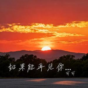 如果能再见你一面 (Cover 王佳音)