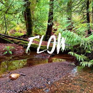 Flow