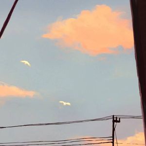 织祝辱(1)