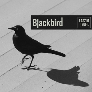 Blackbird