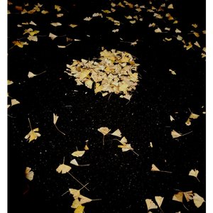 那个夏天的离别