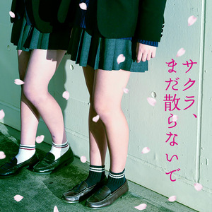 サクラ、まだ散らないで