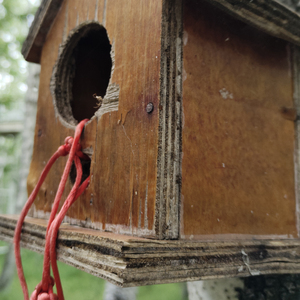 都说谈钱很俗但是我们的不快乐