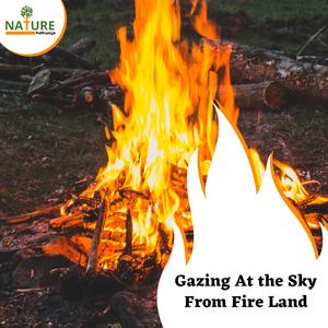 Dreams of Morning Snow Shower