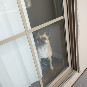 You Gonna Hit That Or...