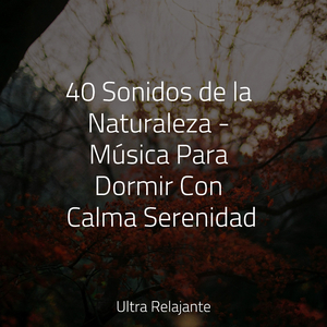 Escalofrió En La Chimenea