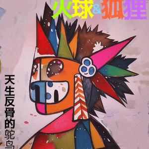 天生反骨的鸵鸟