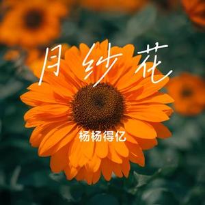 烟雨归舟