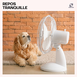 Musique pour Animaux de Compagnie