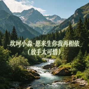 愿来生你我再相依（放手太可惜）