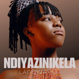 Ndiyazinikela