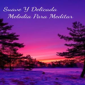 Mejor Funcionamiento Cerebral