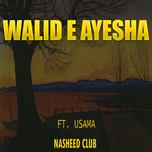 Walid e Ayesha