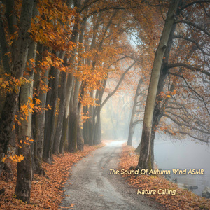 가을바람소리 ASMR