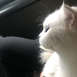 Muộn Rồi Mà Sao Còn