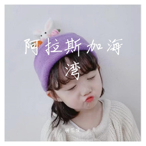 阿拉斯加海湾