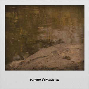 Within Somniative