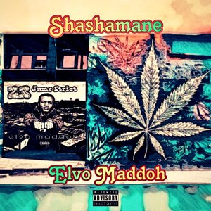 Shashamane