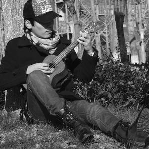 卡农（尤克里里）