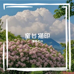 站在风里太久了