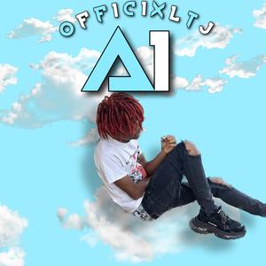 A1