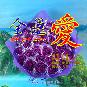 全是爱