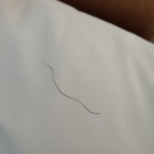新时代的号角