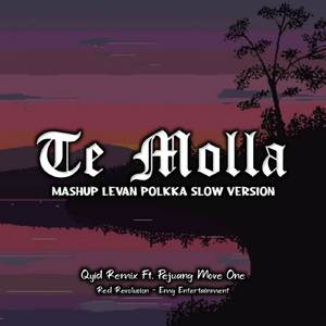 DJ Te Molla X Mashup Levan Polkka Remix Full Bass Mengkane