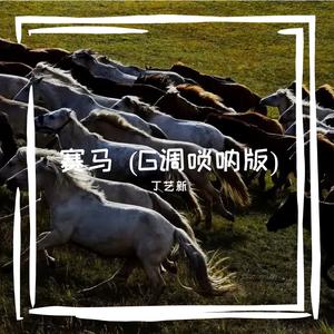 赛马 (G调唢呐版)