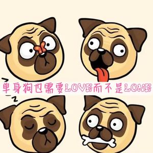 双十一了我还是一条单身狗捏，姐姐➕我一下呗