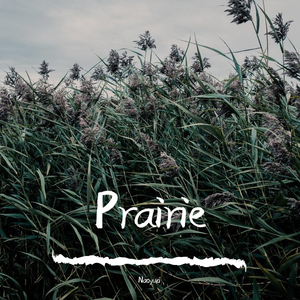 Prairie