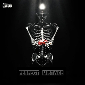 Perfect Mistake