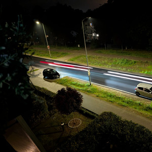 Dolphin (Exec Remix)