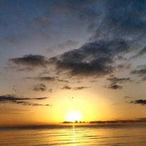 你温柔的目光打动了我的心