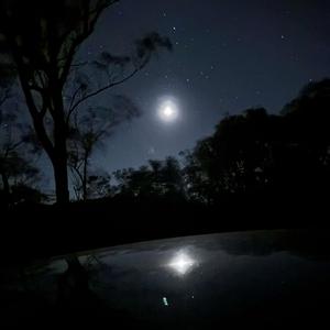 i like bedrotting(&)?