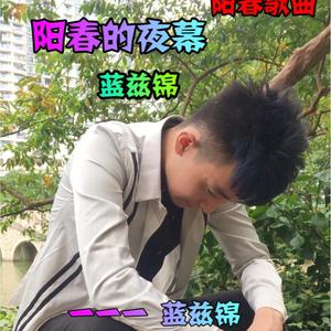 阳春的夜幕