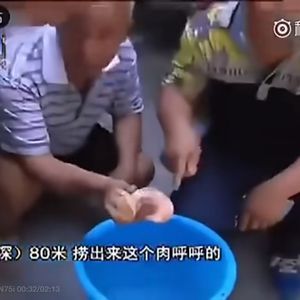 肉靈芝*Toryondacloud_Wheezy_type_beat