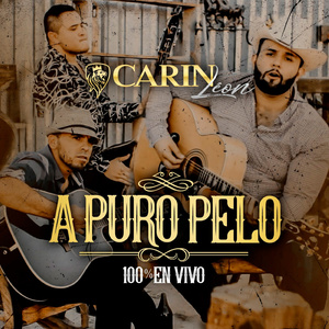 Entre Perico y Perico (En VIvo)