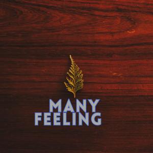 Many feelings
